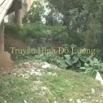 Ống kính phóng viên: Tình trạng vứt rác bừa bãi dưới chân cầu Đô Lương